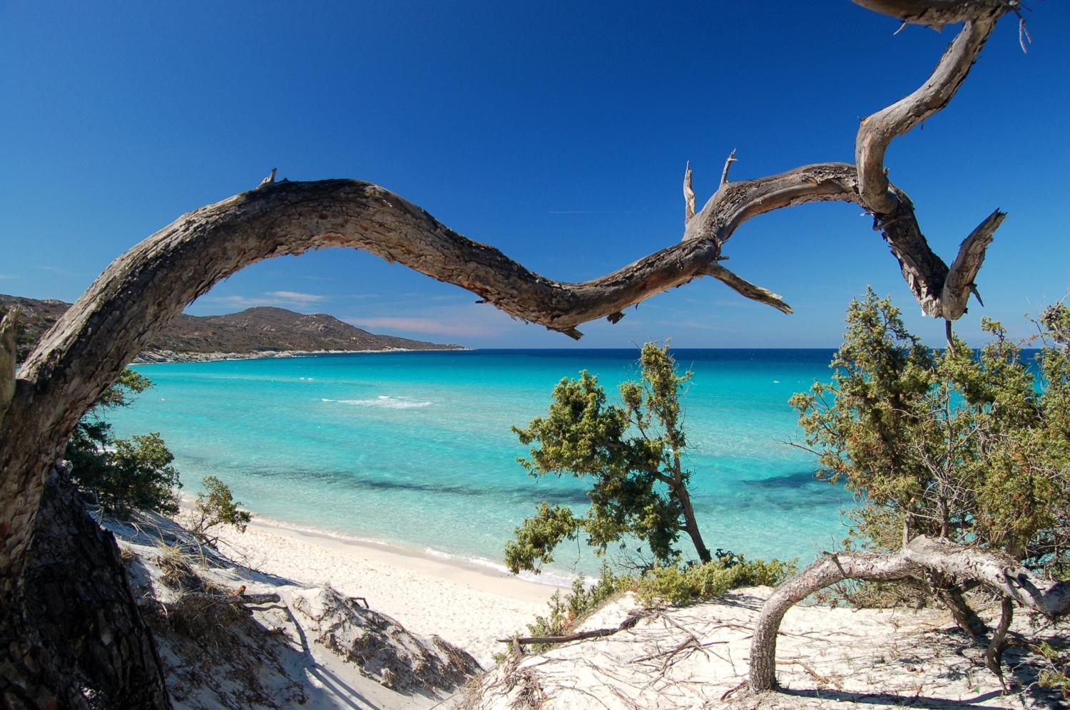 Pergola Bastia (Corsica)